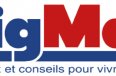 BigMat-5-logo-X.jpg