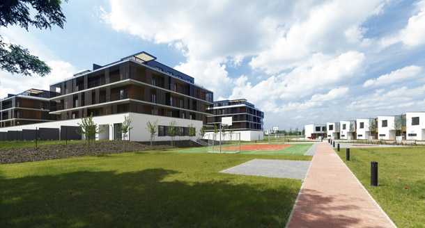 Slnecnice-3-X.jpg