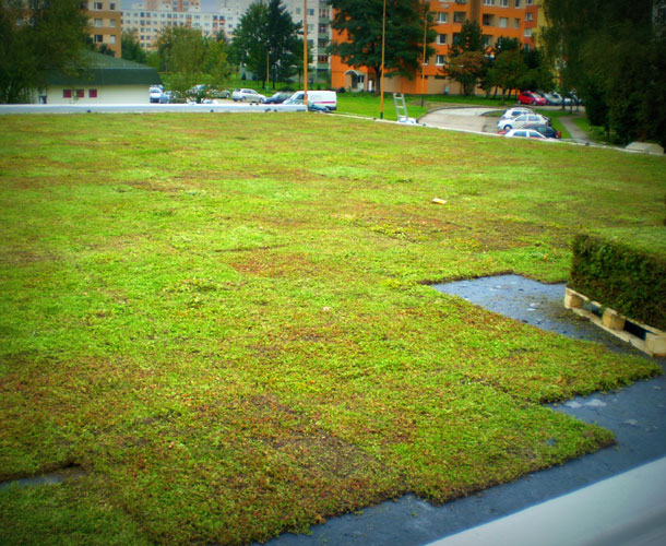 Zelena-strecha-1-X.jpg