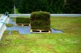 Zelena-strecha-6-X.jpg