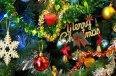 1-the-christmas-tree-1081320_1920-2-X.jpg