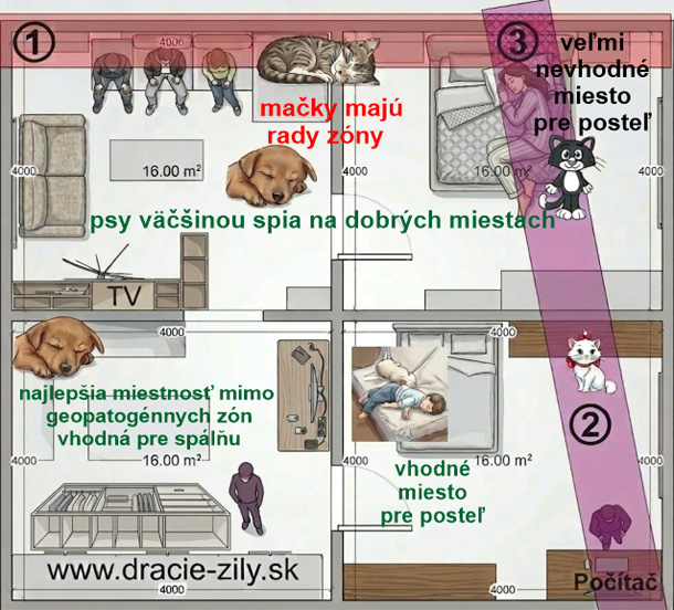 Geopatogenne-zony-8-X.jpg